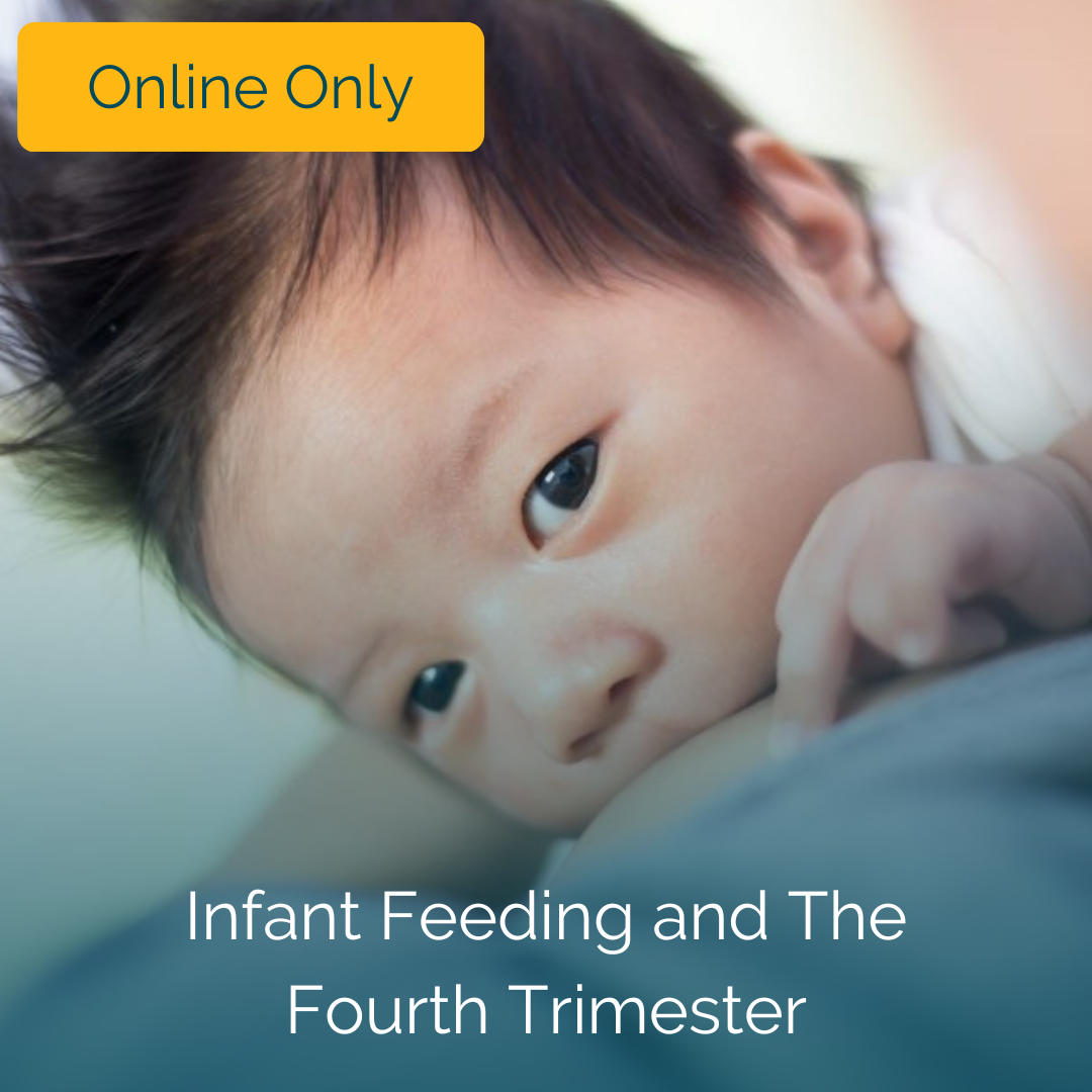 Infant Feeding and The Fourth Trimester - Online Only Course for  Practitioners - The Infant Feeding Academy